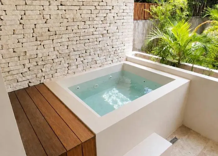 2br Private Plunge Pool 2 King Beds